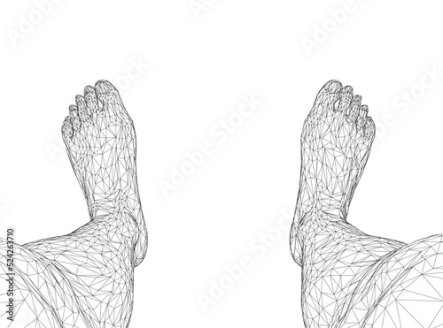 Wireframe of human legs from black lines isolated on white background. View from above. Vector illustration.