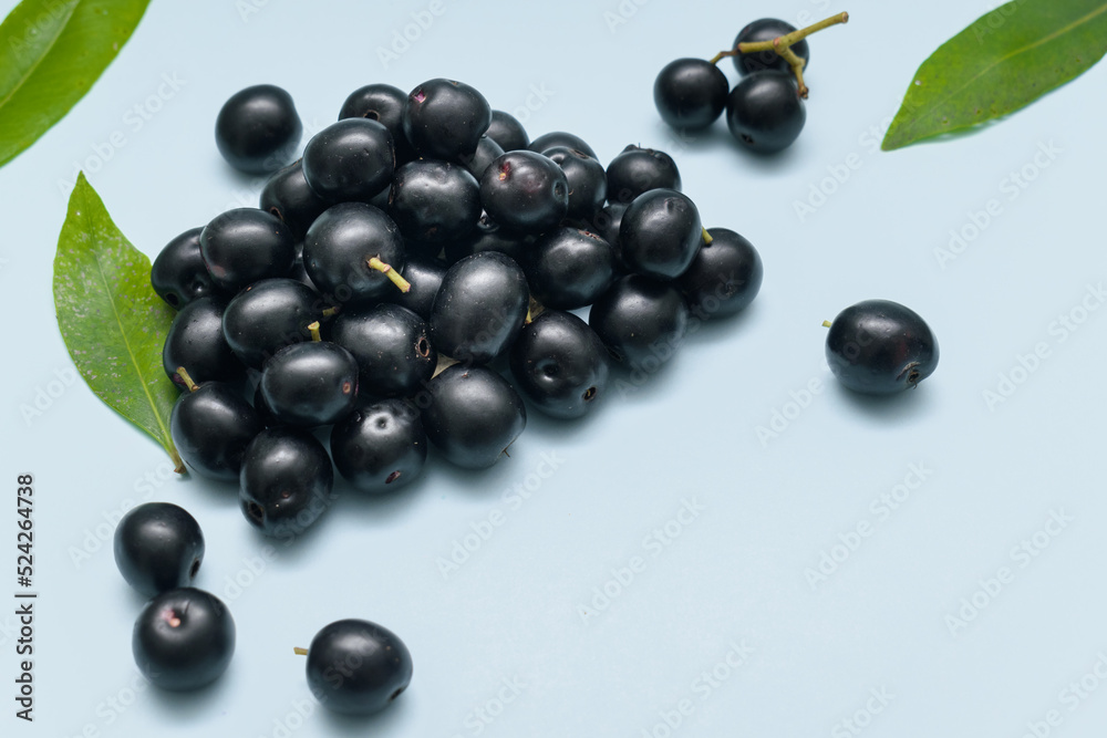 freshly harvested ripe Jambolan plum or Java plum (Syzygium cumini) fruits. freshly harvested ripe Jambolan plum or Java plum (Syzygium cumini) fruits.
