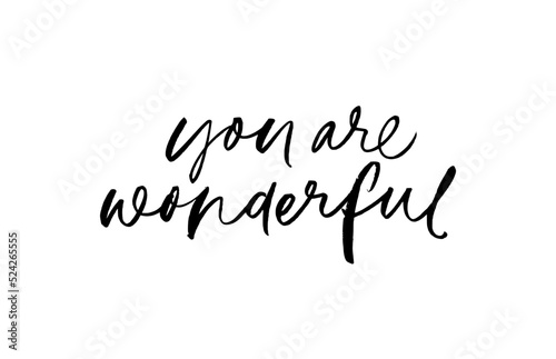 You are wonderful modern calligraphy text. Black brush vector calligraphy. You are wonderful inspirational card. Self motivational quote, compliment. Hand drawn lettering isolated on white background.