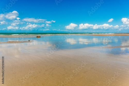 Beautiful sandy beach with sky reflection on a sunny day. Nature tropical background with copy space. Low tide at Elliot Heads Beach, QLD, Australia