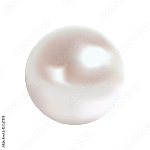 Shiny pearl. Realistic illustration. Transparent background.