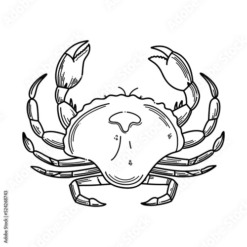 Hand drawn crab seafood vector illustration. Ocean aquatic underwater engraving vector animal illustration on white background.