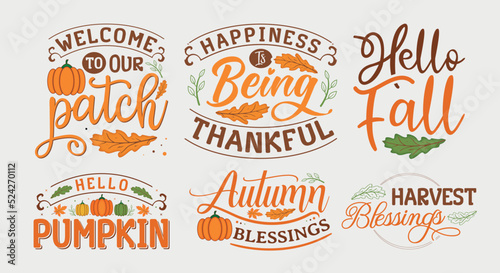 Set of fall and autumn lettering  fall and autumn isolated hand drawn typography design for greeting print label poster vector illustration