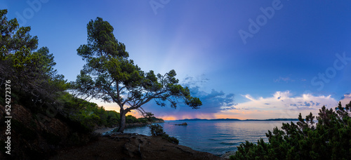 Premières lueurs de l'aube sur la Côte d'Azur, dans le sud de la France: pins maritimes, mer Méditerranée et nuages éclairés par la lumière délicate du soleil levant