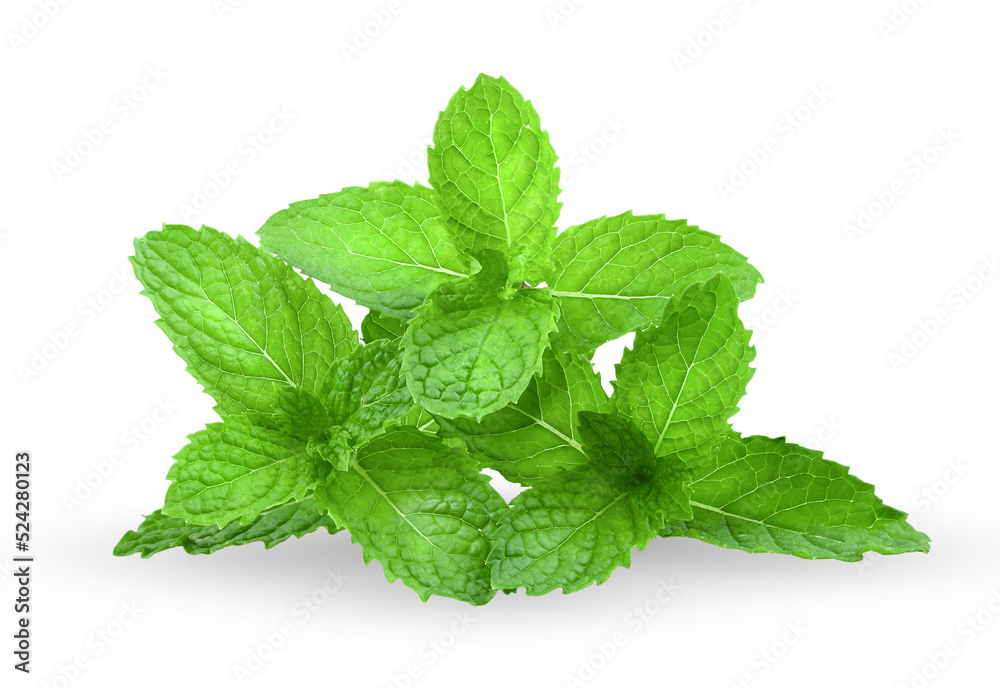 Mint leaves isolated on white Mint leaves isolated on white