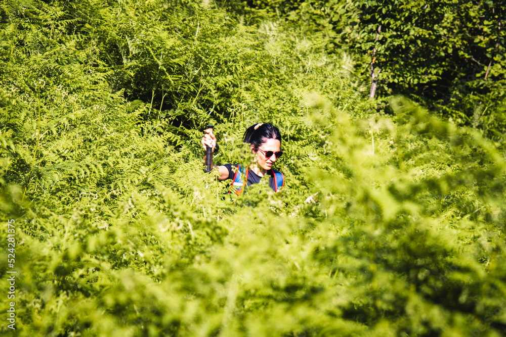 Young female hiker solo hike get lost in high grass after wrong turn in wilderness angry and upset out of desperation Young female hiker solo hike get lost in high grass after wrong turn in wilderness angry and upset out of desperation