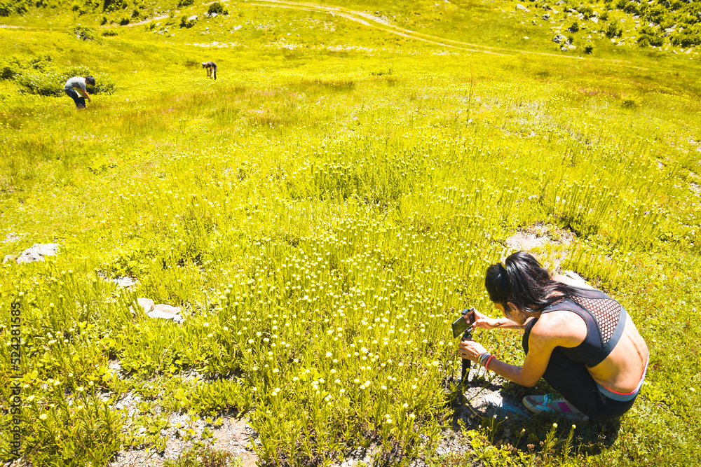Beautiful female traveler take photo of local culture in Georgia. Villager pick flower for medical use in summer fields Beautiful female traveler take photo of local culture in Georgia. Villager pick flower for medical use in summer fields