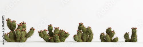 3d illustration of set Mammillaria dioica cactus isolated on white bachground