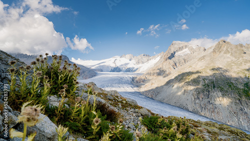 Fantastic view of the great Rhone glacier and the mountains in the canton of Valais. Furka Pass, Switzerland. Viewpoint photo