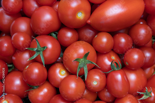 Fresh  red tomatoes  different varieties from the garden  background  wallpaper