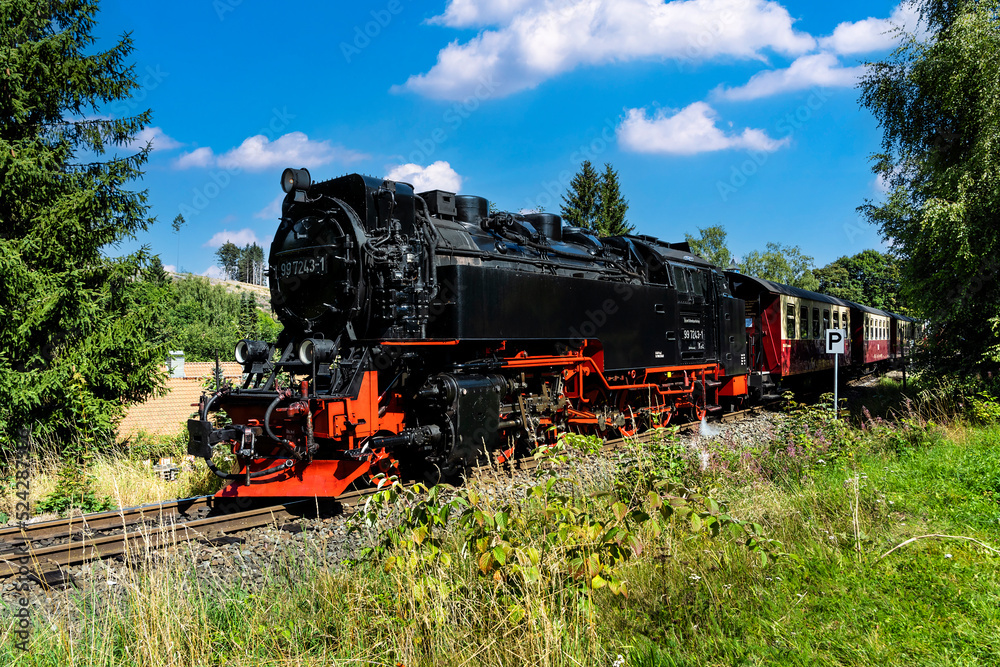 Dampfzug auf der Harzquerbahn