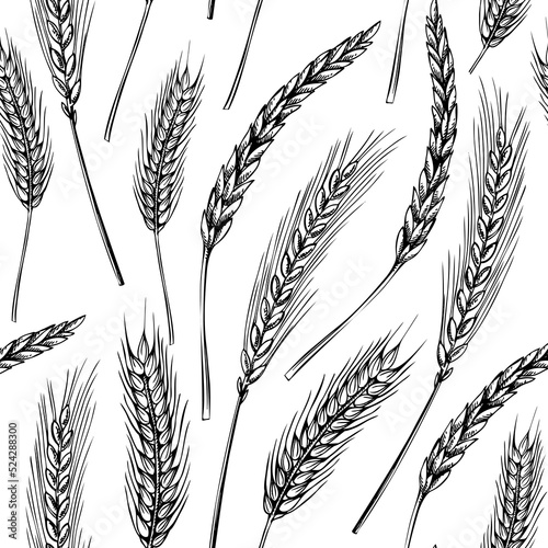 Cereals seamless pattern. Hand-drawn botanical element in sketched style. Thanksgiving background with wheat illustrations. Cereal plants vector backdrop for wrapping paper and textile
