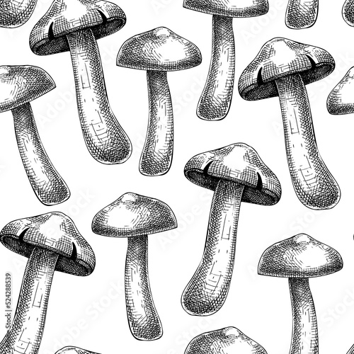 Mushroom seamless pattern. Sketched illustration. Hand-drawn food drawings. Forest plant sketches. Perfect for recipe, menu, label, icon, packaging, Vintage mushroom black outlines.