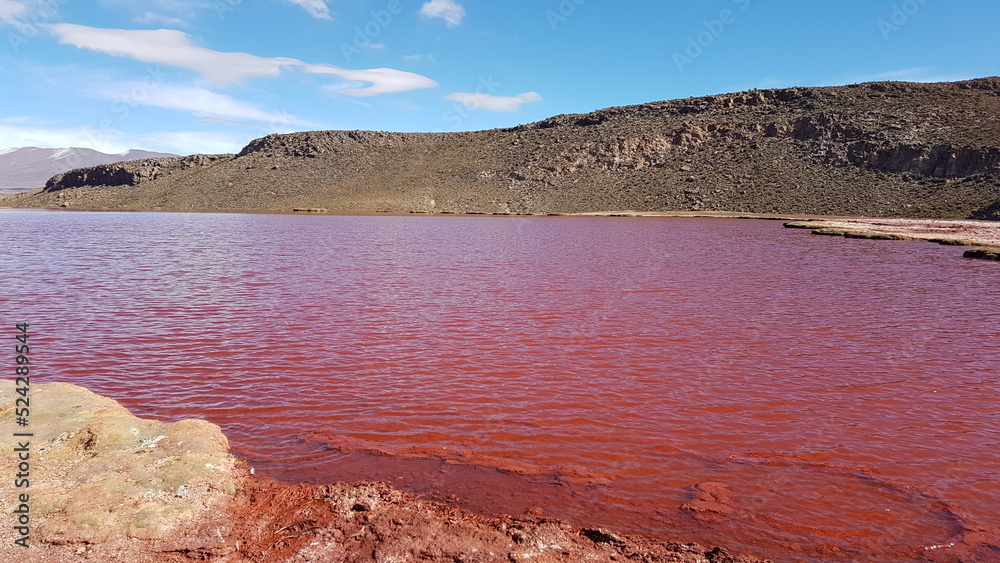 Laguna Roja (Lagune Rouge) au Chili