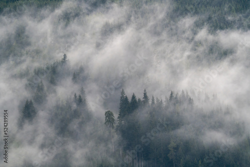 low hanging clouds and fog in the mountains at a summer day