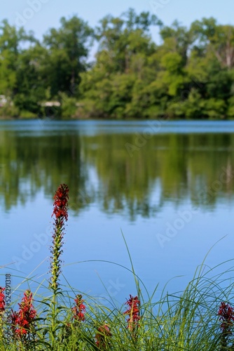Pop of red overlooking the lake