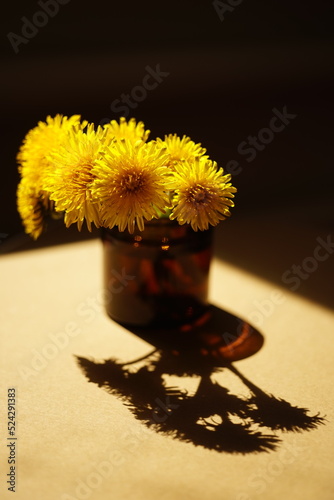 Yellow dandelion flowers bouquet on the brown sunny table