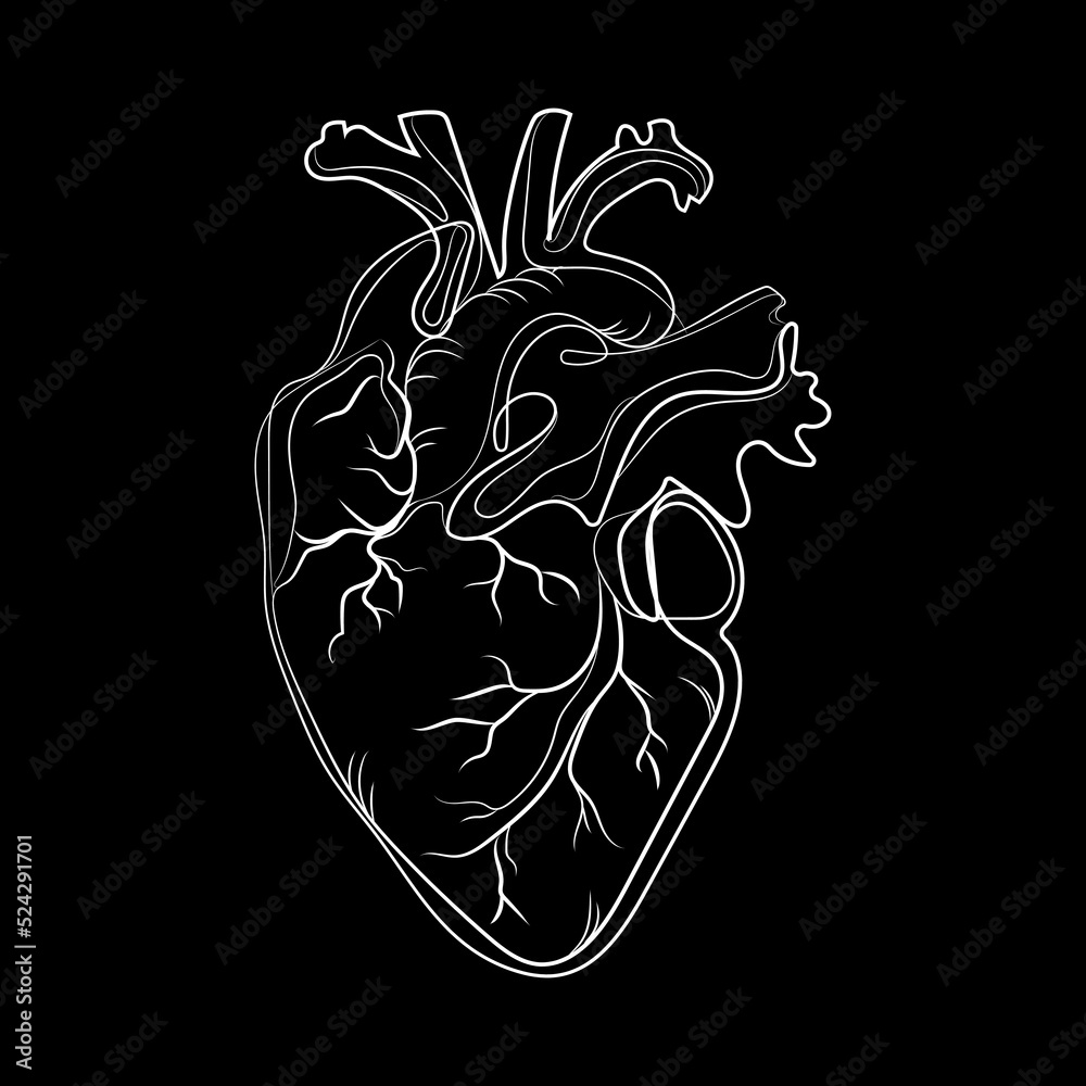 Grafika wektorowa Stock: Doodle anatomical heart line art abstract ...