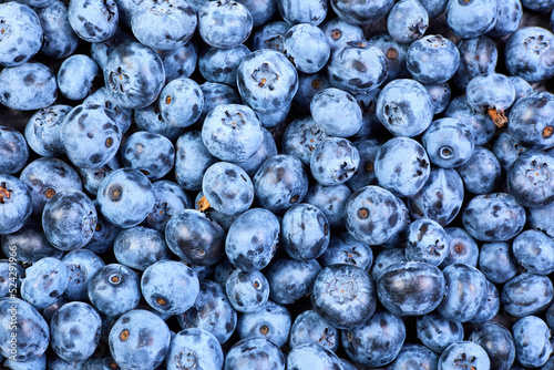 Blueberry background from Freshly picked berries