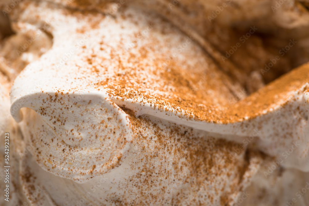 Frozen Cinnamon-honey flavour gelato - full frame detail. Close up of a white texture of Ice cream covered with brown cinnamon powder on the surface.