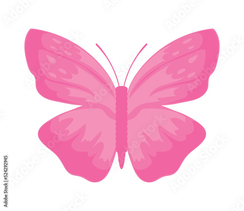 pink butterfly icon © djvstock