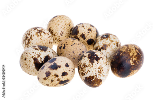 quail eggs isolated