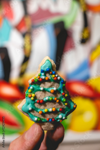 Hand holding a delicious and colorful handmade holiday cookie and a colorful background