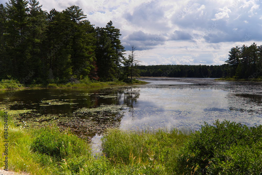 Lake in La Mauricie National Park, Quebec Lake in La Mauricie National Park, Quebec