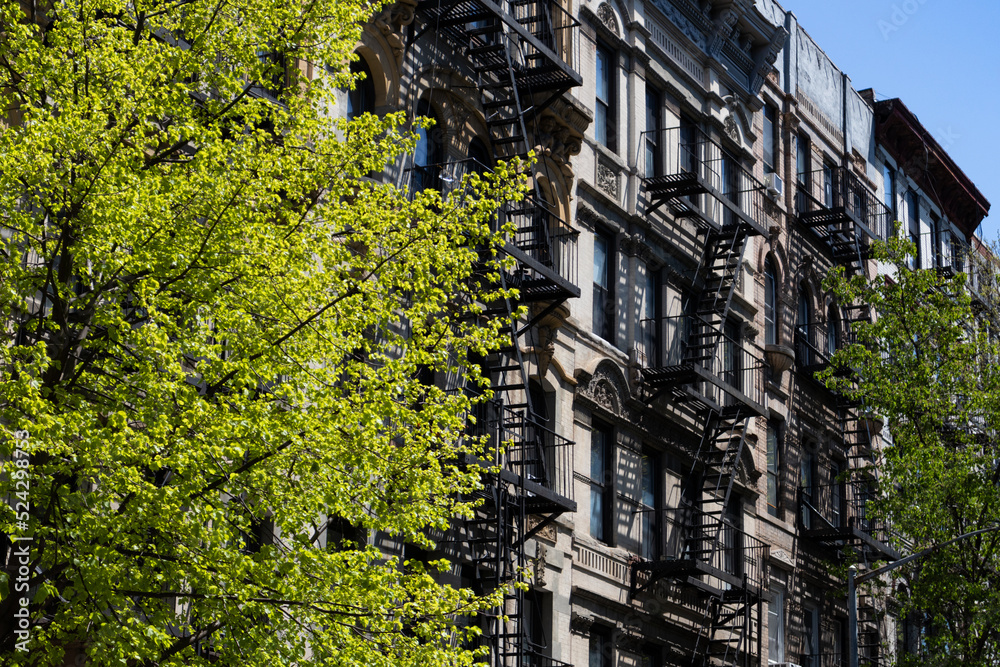 Row of Old Apartment Buildings along a Street with Green Trees during Spring in the East Village of New York City Row of Old Apartment Buildings along a Street with Green Trees during Spring in the East Village of New York City