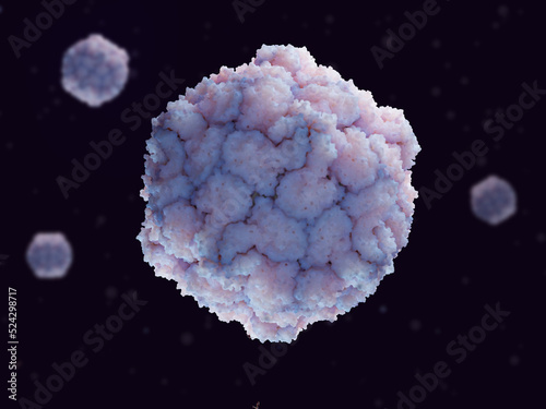 Poliovirus. Poliovirus causes poliomyelitis. photo