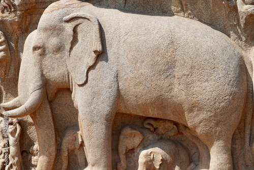 Tableau sur toile Bas relief rock cut sculptures of Elephant are carved in the monolithic granite rocks in Mahabalipuram, Tamil nadu
