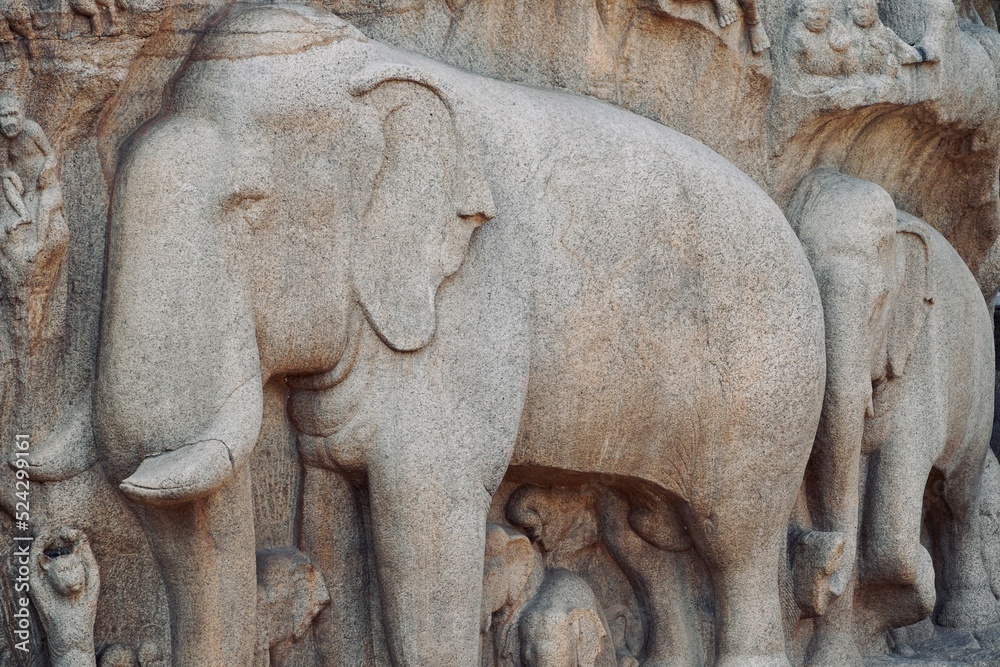 Fototapeta premium Bas relief rock cut sculptures of Elephant are carved in the monolithic granite rocks in Mahabalipuram, Tamil nadu. Ancient historical bas relief sculpture carved in the stone rock in Mahabalipuram.