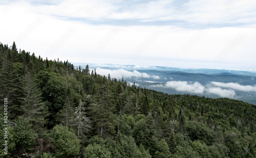 Obraz premium Clouds on the Mountain