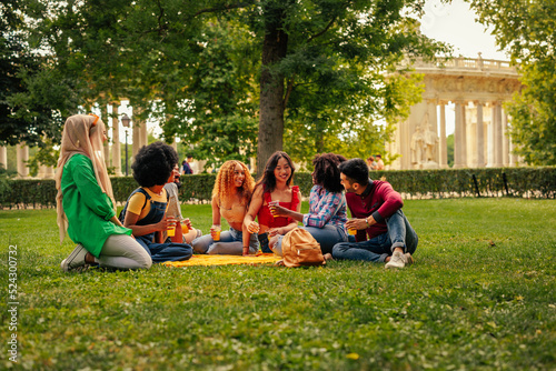 Friends on picnic in park © bernardbodo