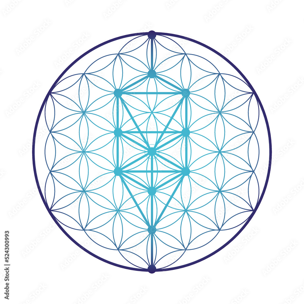Flower of life. Tree of life. Sacred geometry scientific tattoo sketch with mystic interlocking circles ancient symbol. Flower of life. Tree of life. Sacred geometry scientific tattoo sketch with mystic interlocking circles ancient symbol.