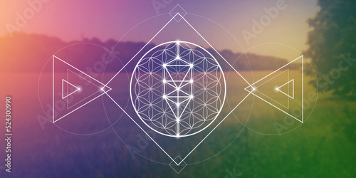 Flower of life sacred geometry spiritual new age futuristic illustration with interlocking circles, triangles and glowing particles in front of blurry natural photographic background