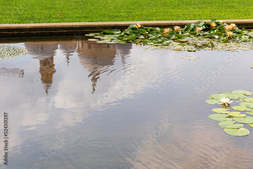 La Basilica di Santa Giustina riflessa in uno specchio d'acqua dell'Orto Botanico di Padova, Italia. photo