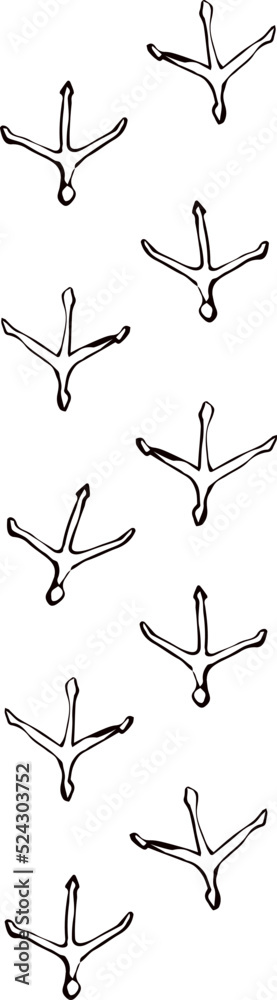 Traces of chicken. Vector drawing Traces of chicken. Vector drawing
