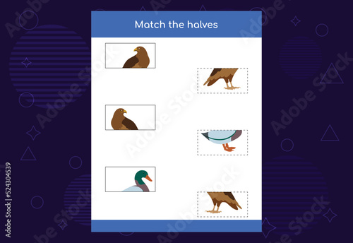 Matching game. Match halves of Birds. Educational game for children, printable worksheet