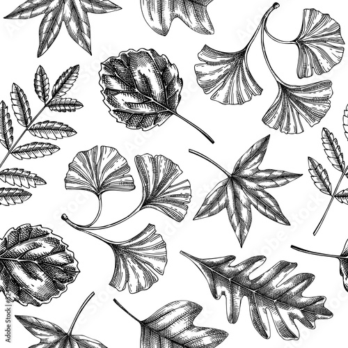 Autumn seamless pattern with fall leaves and dried flowers sketches. Thanksgiving background. Vector dried plants, falling leaves, mushrooms backdrop. Foliage illustration
