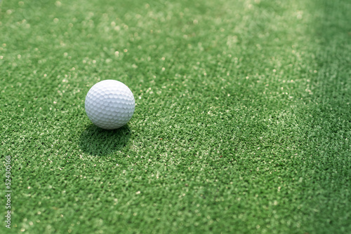 A golf club and a ball during a mini golf game