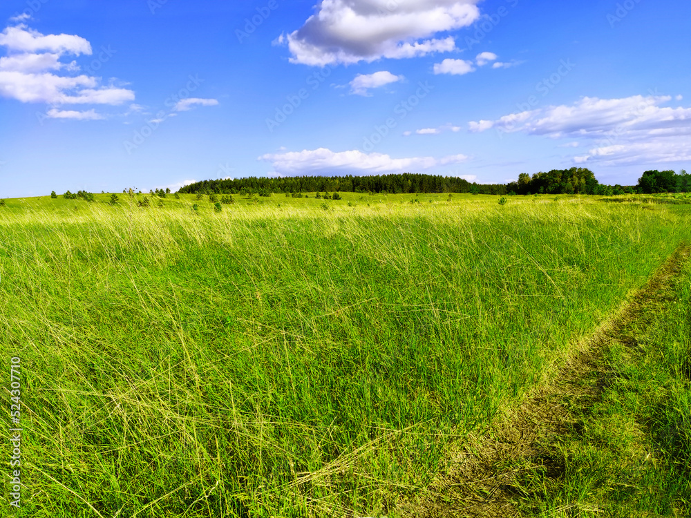 Obraz premium Summer landscape of wild nature, water body and silhouette of a fisherman with a fishing rod, green meadow, trees, blue sky with clouds. Clear day, open spaces, shades of summer, fresh greenery, field