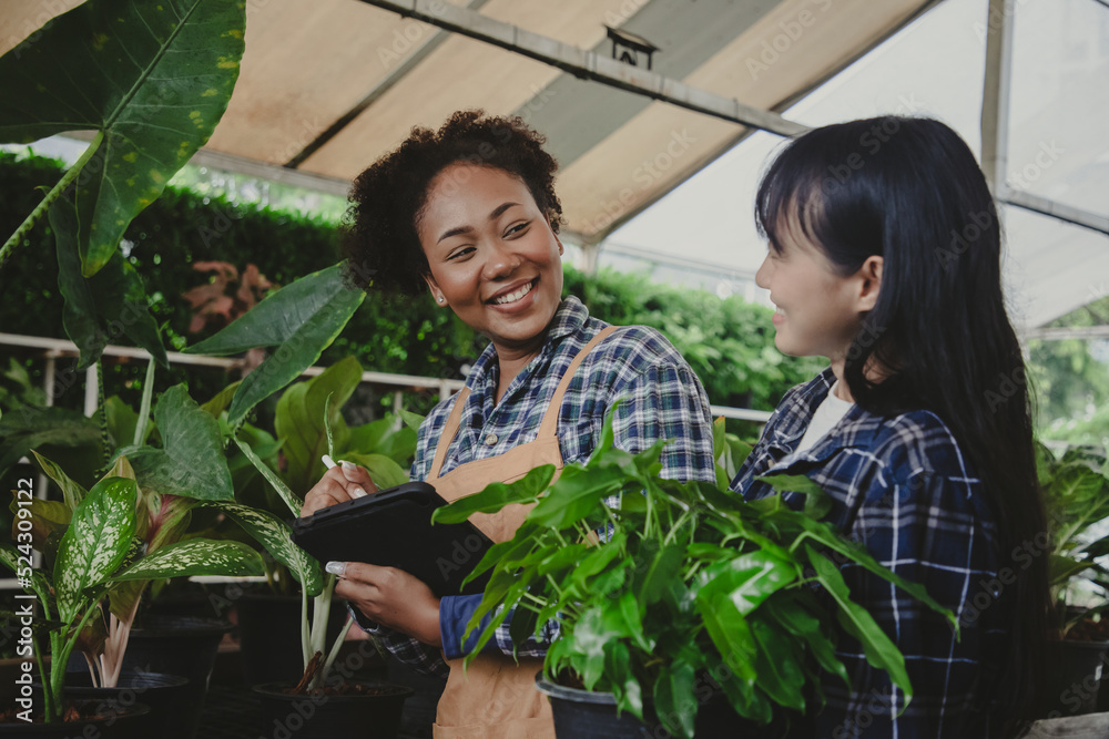 African American woman owner an ornamental garden with assistant using a tablet to check the plants on a shelf in a green house for sell. Portrait of charming caucasian woman owner of garden center African American woman owner an ornamental garden with assistant using a tablet to check the plants on a shelf in a green house for sell. Portrait of charming caucasian woman owner of garden center