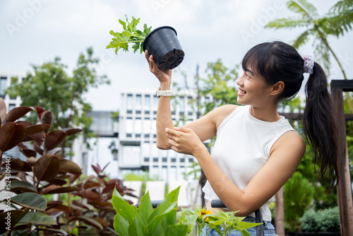 Asian woman holding a propagated green plant showing aerial roots in the greenhouse before buy ornamental products. Check quality plants and growths photo