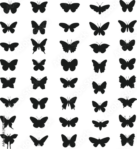 Collection of Butterfly Flat isolated Vector Silhouettes
