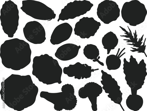  Cabbage lettuce outing Flat isolated Vector Silhouettes