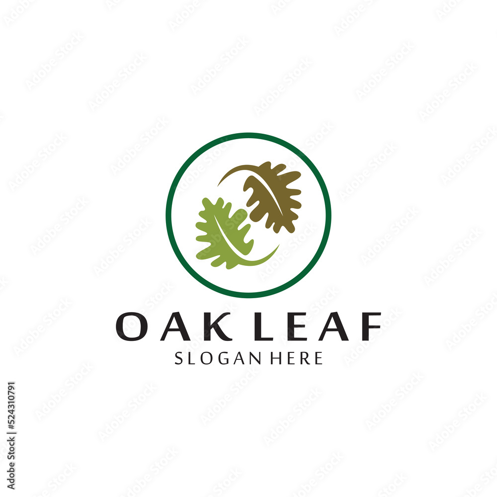 vector oak leaf logo template