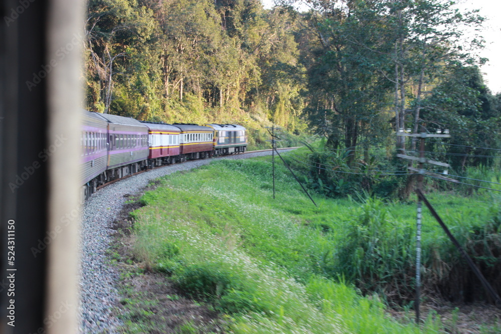 Naklejka premium side train curve views with tree 
