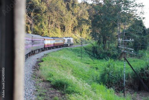 side train curve views with tree 