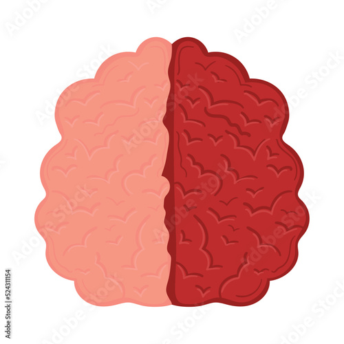 brain organ icon